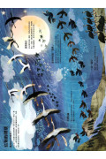 野鳥大書BIRDS