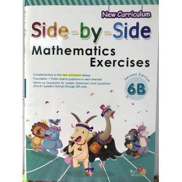 Side by side Mathematics Exercises (2nd Edition) 6B