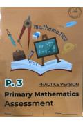 Primary Mathematics Assessment (Practice Version) P3